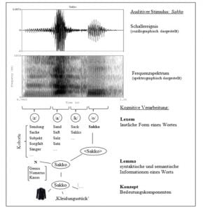 mentale reprc3a4sentationsebenen bei der verarbeitung eines auditiven stimulus