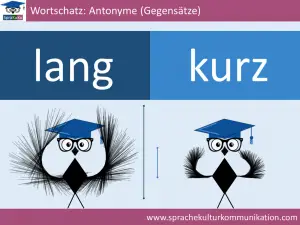 wortschatz adjektive antonyme lang und kurz