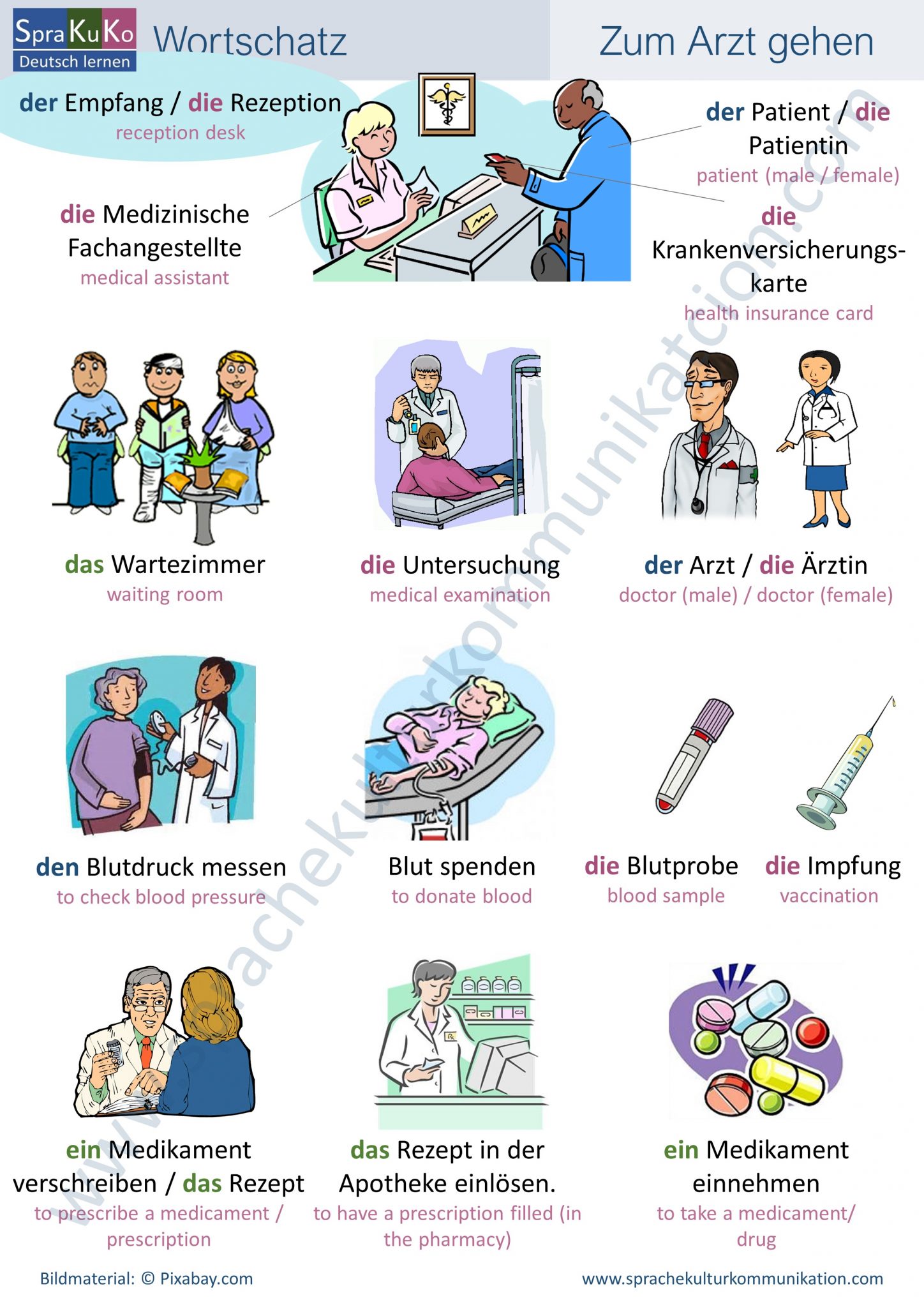 Wortschatz Zum Arzt gehen Vocabulary to see a doctor