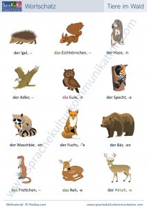 Wortschatz Tiere im Wald