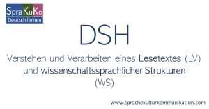 DSH Leseverstehen und wissenschaftliche Teilpruefung