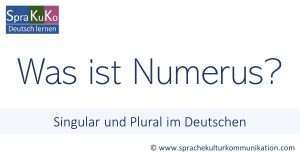 Was ist Numerus