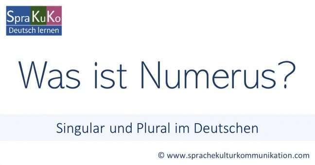 Numerus im Deutschen Deutsch lernen online Sprakuko