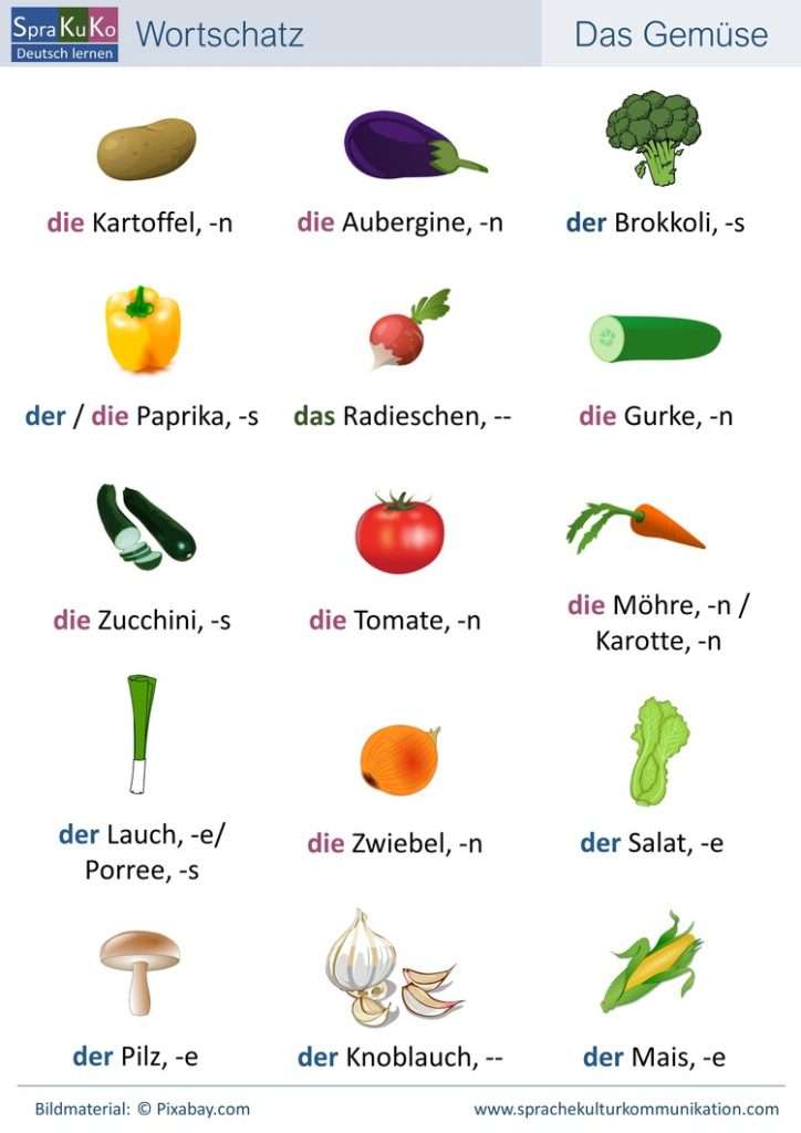 Wortschatz Gemüse