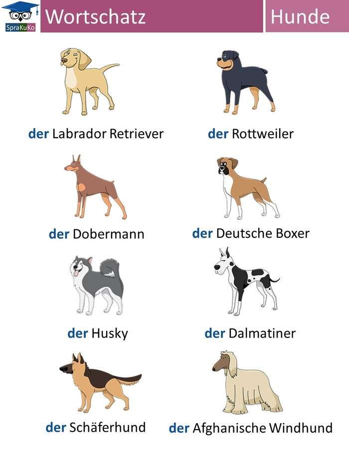 Wortschatz Hunde