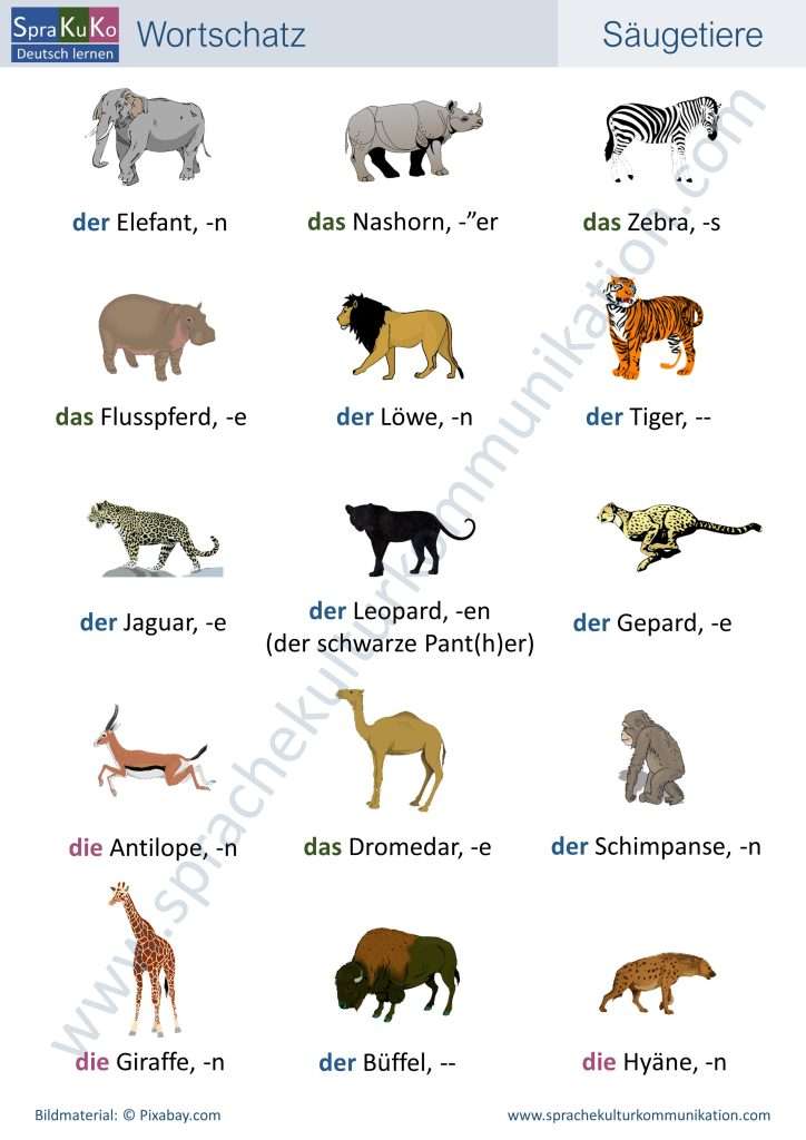 Wortschatz Säugetiere